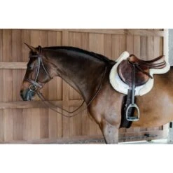 Kentucky Horsewear Kentucky Springdecke Hunter Wool Naturell Warmblut -Waldhausen Verkaufe kentucky 6538ac4c10abd 78b5fcaa73c32e6114cfe45f83d614a181c9c970 179a7864.0952a2