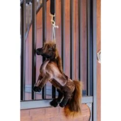 Kentucky Horsewear Kentucky Relax Horse Toy Tableux 11 Kentucky Horsewear Kentucky Relax Horse Toy Tableux -Waldhausen Verkaufe kentucky 657a21225d902 275ca6eafe8a2e291a66b5611722ee5309f35c8d 82155 05 102.f76d4e