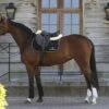 Kentucky Horsewear Kentucky Schabracke Black/White/Brown Warmblut