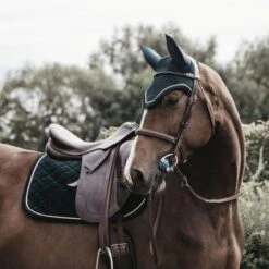Kentucky Horsewear Kentucky Dressur Satteldecke Corduroy Schwarz Warmblut -Waldhausen Verkaufe kentucky dressuur zadeldekje corduroy pg 2.df76bc