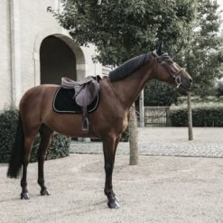 Kentucky Horsewear Kentucky Dressur Satteldecke Corduroy Schwarz Warmblut -Waldhausen Verkaufe kentucky dressuur zadeldekje corduroy zwart 3.e6c5b3