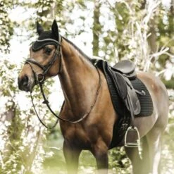 Kentucky Horsewear Kentucky Dressur Satteldecke Pearls Weiß Warmblut -Waldhausen Verkaufe kentucky dressuur zadeldekje pearls black.cc2082 1