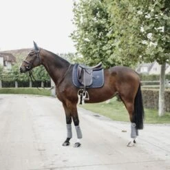 Kentucky Horsewear Kentucky Dressur Satteldecke Pearls Schwarz Warmblut -Waldhausen Verkaufe kentucky dressuur zadeldekje pearls grey 2.d56f6e