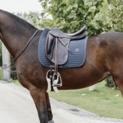 Kentucky Horsewear Kentucky Dressur Satteldecke Pearls Weiß Warmblut -Waldhausen Verkaufe kentucky dressuur zadeldekje pearls grey.fbb5bd 1