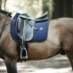 Kentucky Horsewear Kentucky Dressur Satteldecke Pearls Weiß Warmblut -Waldhausen Verkaufe kentucky dressuur zadeldekje pearls navy 1.901356 1