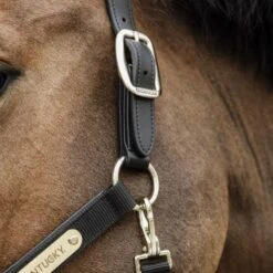 Kentucky Horsewear Kentucky Halfter Anatomic Nylon Beige 28 Kentucky Horsewear Kentucky Halfter Anatomic Nylon Beige -Waldhausen Verkaufe kentucky halster anatomic nylon zwart 1.e66c26