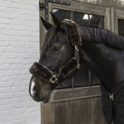 Kentucky Horsewear Kentucky Halfterschutz Sheepskin Braun 4st