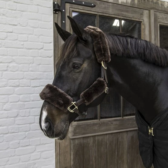 Kentucky Horsewear Kentucky Halfterschutz Sheepskin Braun 4st 3 Kentucky Horsewear Kentucky Halfterschutz Sheepskin Braun 4st