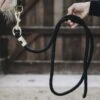 Kentucky Horsewear Kentucky Führstrick Basic Schwarz 2m -Waldhausen Verkaufe kentucky halstertouw basic zwart 1.d99c6d 4