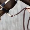 Kentucky Horsewear Kentucky Führstrick Panikhaken Braun 2m -Waldhausen Verkaufe kentucky halstertouw paniekhaak bruin 2m.d85953 1