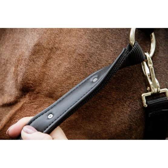 Kentucky Horsewear Kentucky Halfter Anatomic Nylon Beige 8 Kentucky Horsewear Kentucky Halfter Anatomic Nylon Beige – Bild 6