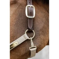 Kentucky Horsewear Kentucky Halfter Anatomic Nylon Beige 19 Kentucky Horsewear Kentucky Halfter Anatomic Nylon Beige -Waldhausen Verkaufe kentucky kentuckyhsrbeige3.bc404c