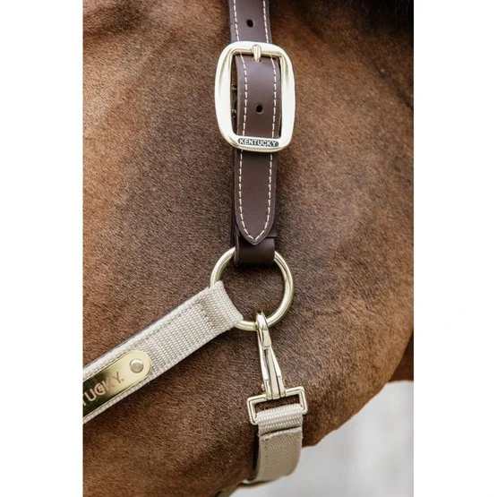 Kentucky Horsewear Kentucky Halfter Anatomic Nylon Beige 5 Kentucky Horsewear Kentucky Halfter Anatomic Nylon Beige – Bild 3