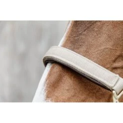 Kentucky Horsewear Kentucky Halfter Anatomic Nylon Beige 20 Kentucky Horsewear Kentucky Halfter Anatomic Nylon Beige -Waldhausen Verkaufe kentucky kentuckyhsrbeige4.2986ff