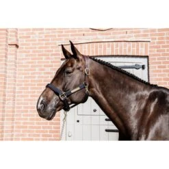 Kentucky Horsewear Kentucky Halfter Anatomic Nylon Beige 23 Kentucky Horsewear Kentucky Halfter Anatomic Nylon Beige -Waldhausen Verkaufe kentucky kentuckyhsrnavy.802c1a