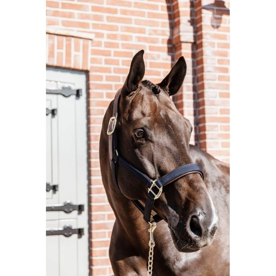 Kentucky Horsewear Kentucky Halfter Anatomic Nylon Beige 10 Kentucky Horsewear Kentucky Halfter Anatomic Nylon Beige – Bild 8