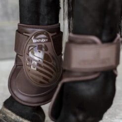 Kentucky Horsewear Streichkappen Deep Schwarz -Waldhausen Verkaufe kentucky kogelbeschermers deepbruinm.23106b