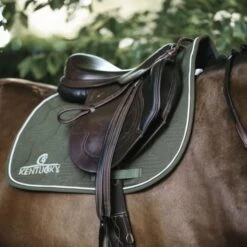 Kentucky Horsewear Kentucky Springsatteldecke Color Edition Mint Warmblut -Waldhausen Verkaufe kentucky pring zadeldekje color edition khaki.84ea21 3