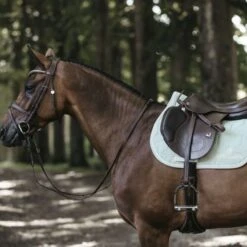 Kentucky Horsewear Kentucky Springsatteldecke Color Edition Grau Warmblut -Waldhausen Verkaufe kentucky pring zadeldekje color edition mint 1.f05f12 2