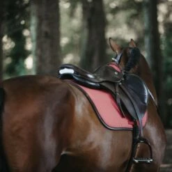 Kentucky Horsewear Kentucky Springsatteldecke Color Edition Leder Mint Warmblut -Waldhausen Verkaufe kentucky spring zadeldekje color ed leather koraal 1.20c510 3