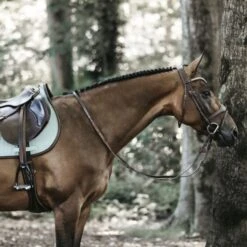 Kentucky Horsewear Kentucky Springsatteldecke Color Edition Leder Navy Warmblut -Waldhausen Verkaufe kentucky spring zadeldekje color ed leather mint 3.ef55d0 2