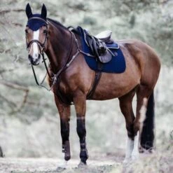 Kentucky Horsewear Kentucky Springsatteldecke Fishbone Navy Warmblut -Waldhausen Verkaufe kentucky spring zadeldekje fishbone blauw 2.8e5450 2