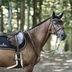 Kentucky Horsewear Kentucky Springsatteldecke Fishbone Leder Weiß Warmblut -Waldhausen Verkaufe kentucky spring zadeldekje fishbone leather black 2.bab4a0 2