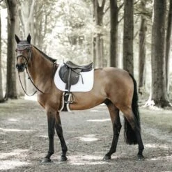 Kentucky Horsewear Kentucky Springsatteldecke Fishbone Navy Warmblut -Waldhausen Verkaufe kentucky spring zadeldekje fishbone white 2.9c9f20 2