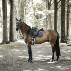 Kentucky Horsewear Kentucky Springsatteldecke Pearls Grau Warmblut -Waldhausen Verkaufe kentucky spring zadeldekje pearls grey 2.fa55b3 2