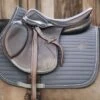 Kentucky Horsewear Kentucky Springsatteldecke Pearls Grau Warmblut -Waldhausen Verkaufe kentucky spring zadeldekje pearls grey.81e7e7 2