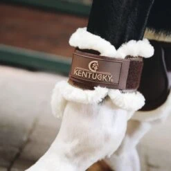 Kentucky Horsewear Streichkappen Young Horse Sheepskin Schwarz Warmblut -Waldhausen Verkaufe kentucky strijklappen yh sheepskin brownf.fd998c