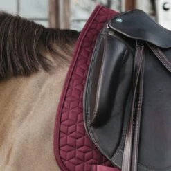 Kentucky Horsewear Kentucky Schabracke Basic Dressur Bordeaux Warmblut -Waldhausen Verkaufe kentucky zadeldekje basic dressuur bordeaux 2.63c90e