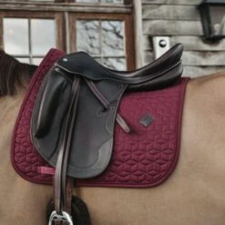 Kentucky Horsewear Kentucky Schabracke Basic Dressur Weiß Warmblut -Waldhausen Verkaufe kentucky zadeldekje basic dressuur bordeaux.39c157 1