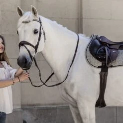 Kentucky Horsewear Kentucky Schabracke Pied-de-Poule Springen Braun Warmblut -Waldhausen Verkaufe kentucky zadeldekje pied de poule springen brown 3.618cfd 1