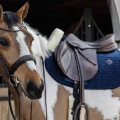 Kentucky Horsewear Kentucky Schabracke Skin Friendly Springen Pine Green Warmblut -Waldhausen Verkaufe kentucky zadeldekje skin friendly velvet sj navy.3a2373 1