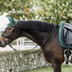 Kentucky Horsewear Kentucky Dressur Satteldecke Velvet Senffarben Warmblut -Waldhausen Verkaufe kentucky zadeldekje velvet dressuur donkergroen 2.4ddedf 2