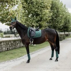 Kentucky Horsewear Kentucky Schabracke Samt Dressur Dunkelgrün 26 Kentucky Horsewear Kentucky Schabracke Samt Dressur Dunkelgrün -Waldhausen Verkaufe kentucky zadeldekje velvet dressuur donkergroen 3.1084ba 1