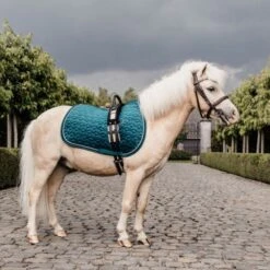 Kentucky Horsewear Kentucky Schabracke Velvet Old Rose Pony -Waldhausen Verkaufe kentucky zadeldekje velvet emerald pony.b48506 2