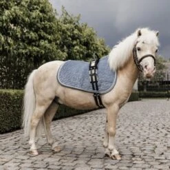 Kentucky Horsewear Kentucky Schabracke Velvet Emerald Pony -Waldhausen Verkaufe kentucky zadeldekje velvet lichtblauw pony.f8086c 1