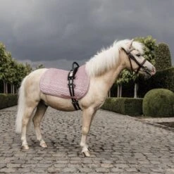 Kentucky Horsewear Kentucky Schabracke Velvet Lightblue Pony -Waldhausen Verkaufe kentucky zadeldekje velvet roze pony.1b5b86 3