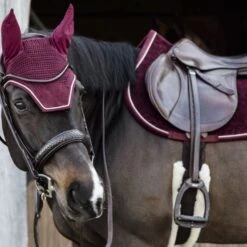 Kentucky Horsewear Kentucky Schabracke Velvet Springen Bordeaux Warmblut -Waldhausen Verkaufe kentucky zadeldekje velvet springen bordeaux 2.fb1a7a 1