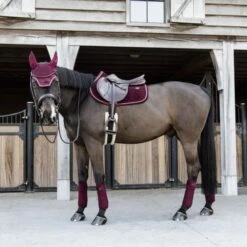 Kentucky Horsewear Kentucky Schabracke Velvet Springen Bordeaux Warmblut -Waldhausen Verkaufe kentucky zadeldekje velvet springen bordeaux 3.221ac1 1