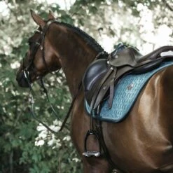 Kentucky Horsewear Kentucky Springsatteldecke Velvet Smaragdgrün Warmblut -Waldhausen Verkaufe kentucky zadeldekje velvet springen emerald 1.6f968b
