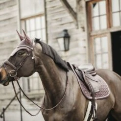 Kentucky Horsewear Kentucky Schabracke Velvet Springen Orange -Waldhausen Verkaufe kentucky zadeldekje velvet springen lichtpaars 2.effddc