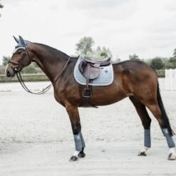 Kentucky Horsewear Kentucky Springsatteldecke Velvet Hellblau Warmblut 26 Kentucky Horsewear Kentucky Springsatteldecke Velvet Hellblau Warmblut -Waldhausen Verkaufe kentucky zadeldekje velvet springen light blue 3.878015 2