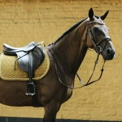 Kentucky Horsewear Kentucky Springsatteldecke Velvet Senffarben Warmblut -Waldhausen Verkaufe kentucky zadeldekje velvet springen mustard 2.dc2322