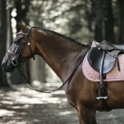 Kentucky Horsewear Kentucky Springsatteldecke Velvet Old Rose Warmblut -Waldhausen Verkaufe kentucky zadeldekje velvet springen old rose 2.64a438