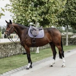 Kentucky Horsewear Kentucky Springsatteldecke Velvet Old Rose Warmblut -Waldhausen Verkaufe kentucky zadeldekje velvet springen purple.f34cb1 3