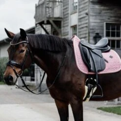 Kentucky Horsewear Kentucky Schabracke Wolle DR Grau -Waldhausen Verkaufe kentucky zadeldekje wol dressuur roze 2.e0947a 2