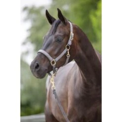 Covalliero Halfter Classy Navy -Waldhausen Verkaufe kerbl 214303.ccda16